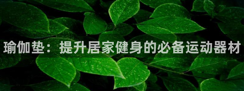 意昂3集团简介：瑜伽垫：提升居家健身的必备运动器材