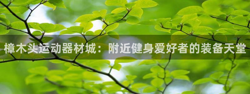 意昂体育3注册：樟木头运动器材城：附近健身爱好者的装备天堂