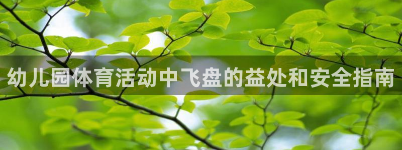 意昂3娱乐平台：幼儿园体育活动中飞盘的益处和安全指南