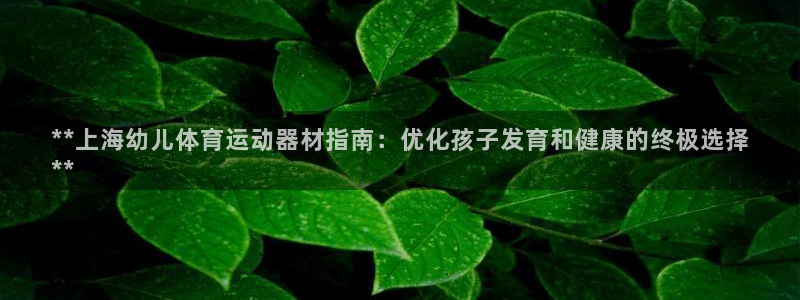 意昂体育3开户：**上海幼儿体育运动器材指南：优化孩子发育和