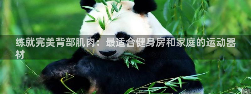意昂体育3平台：练就完美背部肌肉：最适合健身房和家庭的运动器