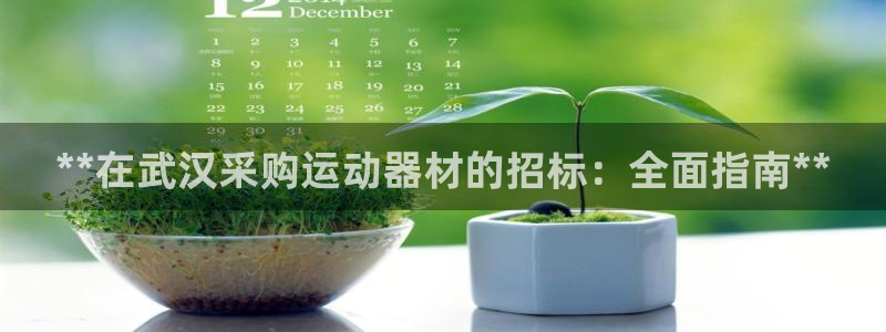 意昂3集团官网首页：**在武汉采购运动器材的招标：全面指南*