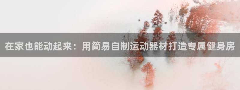 意昂3五金厂：在家也能动起来：用简易自制运动器材打造