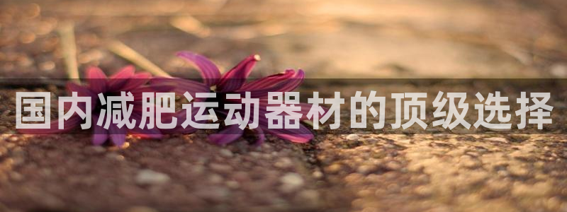 意昂体育3招商电话地址查询：国内减肥运动器材的顶级选择