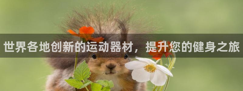 意昂体育3平台：世界各地创新的运动器材，提升您的健身