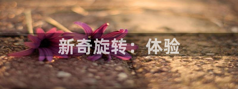 意昂3代理
