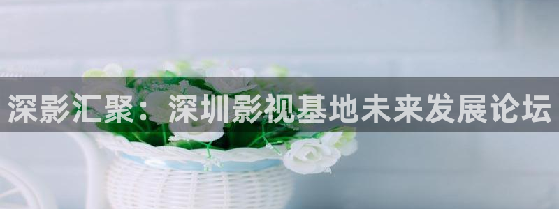 神秘影院青苹果：深影汇聚：深圳影视基地未来发展论坛