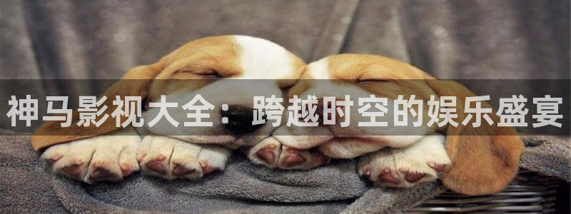 yy神秘影院：神马影视大全：跨越时空的娱乐盛宴