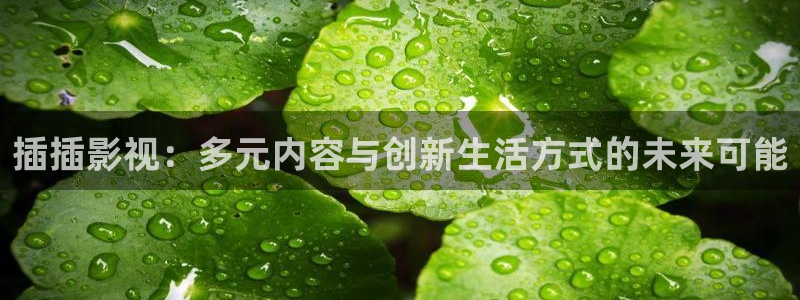 神秘影院：插插影视：多元内容与创新生活方式的未来可能