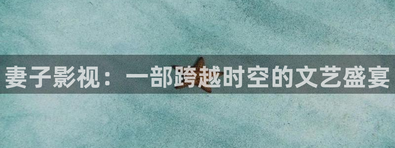 神秘博士高清免费观看：妻子影视：一部跨越时空的文艺盛宴
