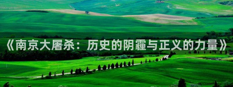 神秘影院：《南京大屠杀：历史的阴霾与正义的力量》