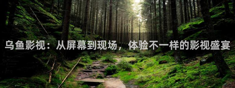 神秘电影国产影院：乌鱼影视：从屏幕到现场，体验不一样的影视盛宴